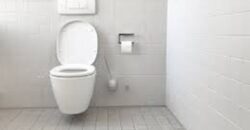 2 BHK flats for sale in Patparganj