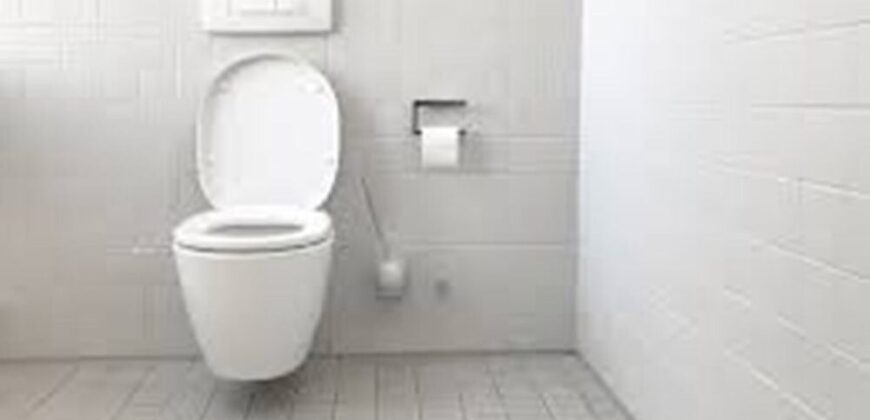 2 BHK flats for sale in Patparganj