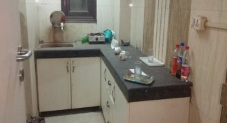 fully furnished 3 BHK Flat in I P extension Patparganj Delhi East 110092