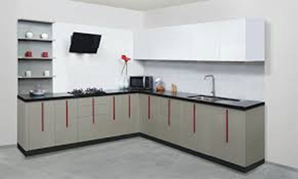 3 BHK flat for rent in I.P. Extension