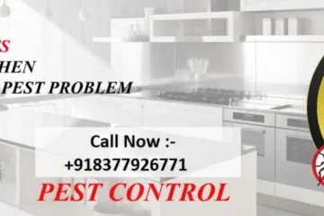 Pest Control Delhi