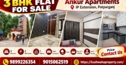 Spacious 3 BHK Ground Floor Home in Ankur Apartments