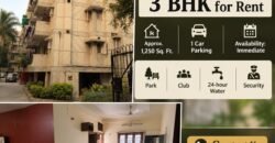 3 BHK for Rent in IP Extension, Vijay Lakshmi Apartments