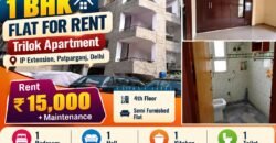1 BHK Renatal flat in Trilok Apartment, IP Extension, Patparganj