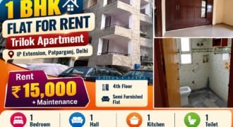 1 BHK Renatal flat in Trilok Apartment, IP Extension, Patparganj